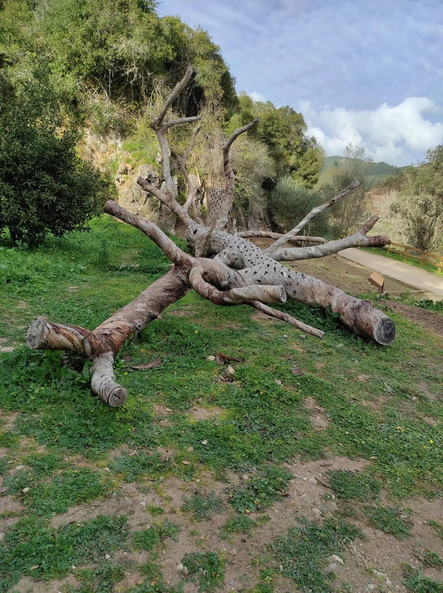 Mãe Natureza